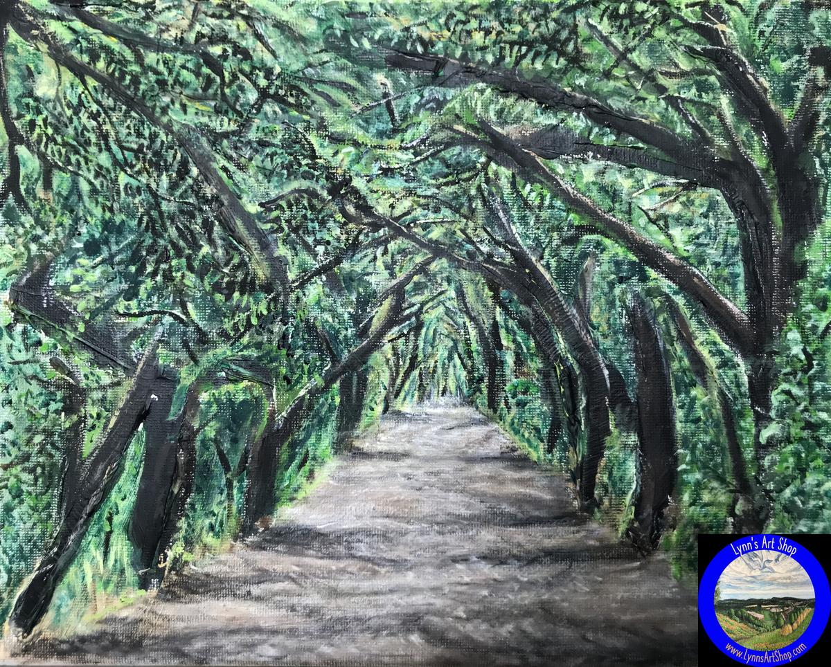 Texas Trail: The Shadowy Path