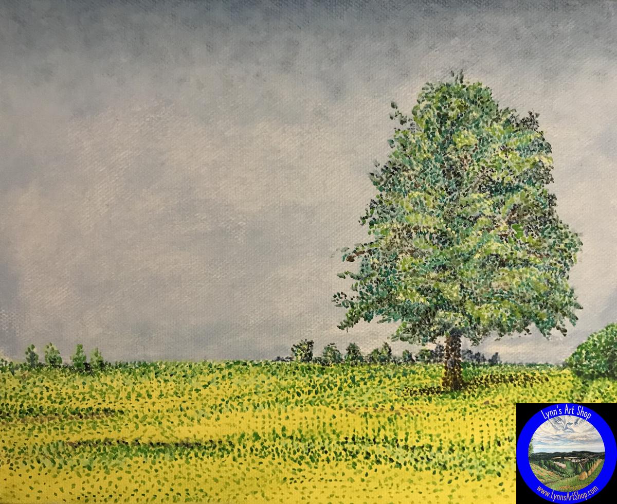 The Pecan Tree