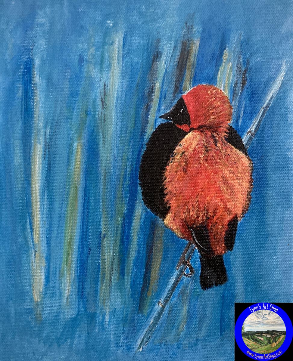 The Red Bird